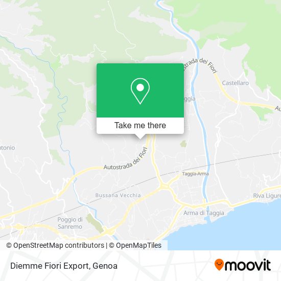 Diemme Fiori Export map