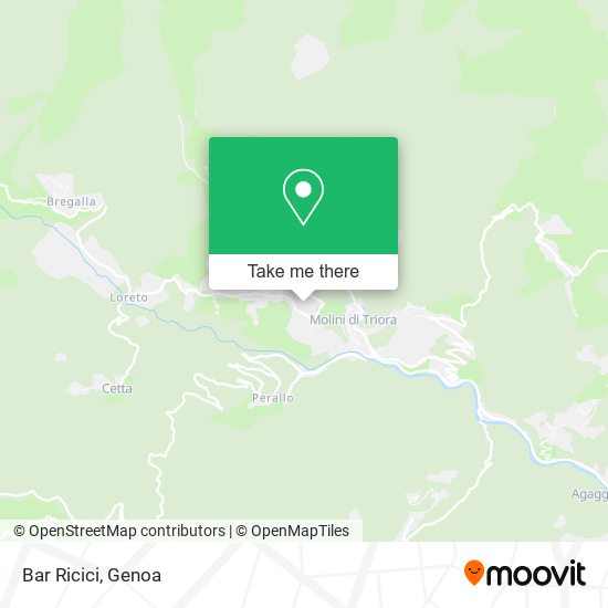 Bar Ricici map