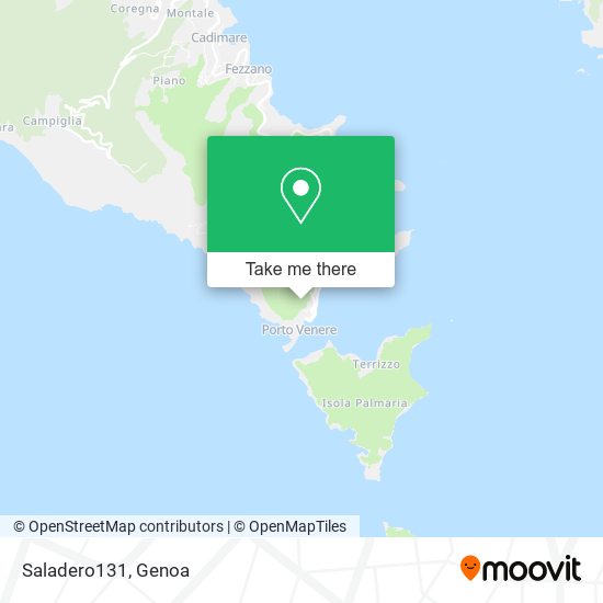 Saladero131 map