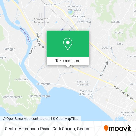 Centro Veterinario Pisani Carli Chiodo map