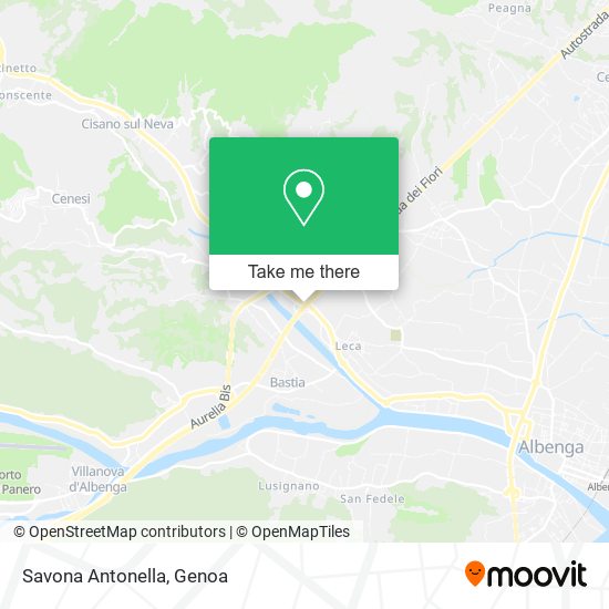 Savona Antonella map