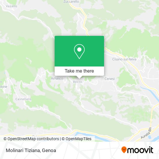 Molinari Tiziana map