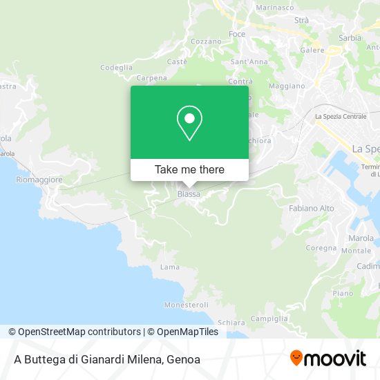 A Buttega di Gianardi Milena map