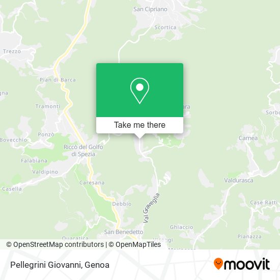 Pellegrini Giovanni map