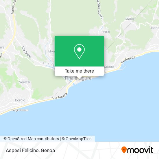 Aspesi Felicino map