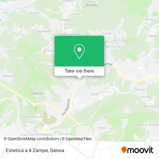 Estetica a 4 Zampe map