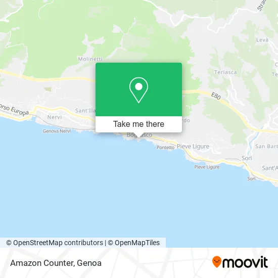 Amazon Counter map