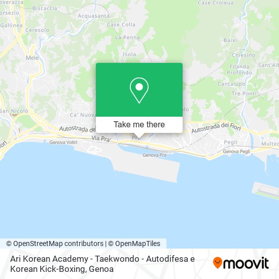 Ari Korean Academy - Taekwondo - Autodifesa e Korean Kick-Boxing map