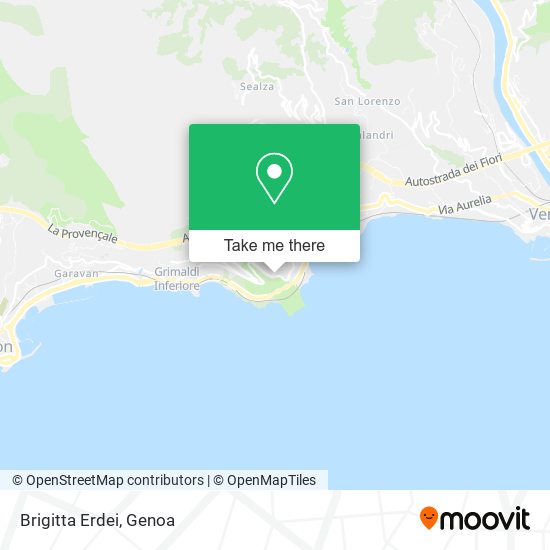 Brigitta Erdei map