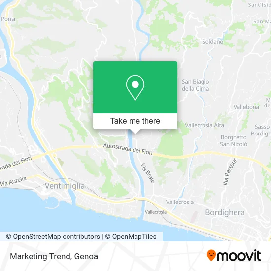Marketing Trend map