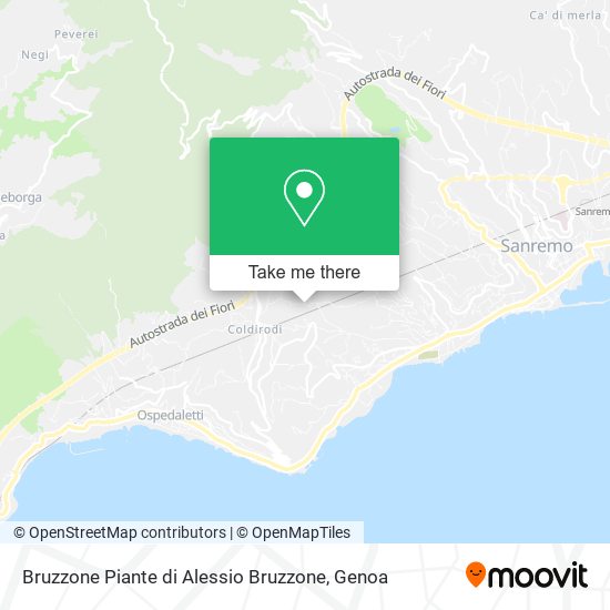 Bruzzone Piante di Alessio Bruzzone map
