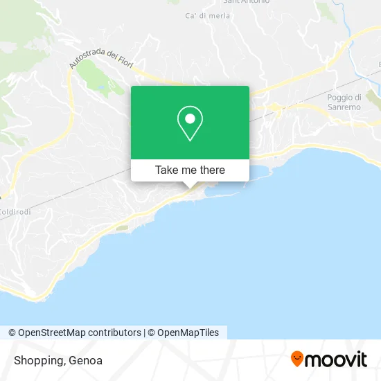 Shopping map