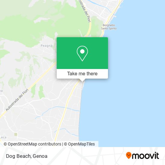 Dog Beach map