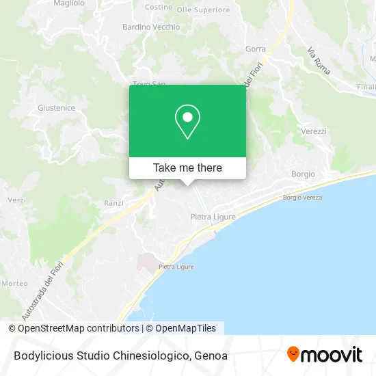 Bodylicious Kinesiology Studio map
