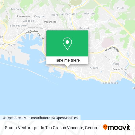 Studio Vectors-per la Tua Grafica Vincente map