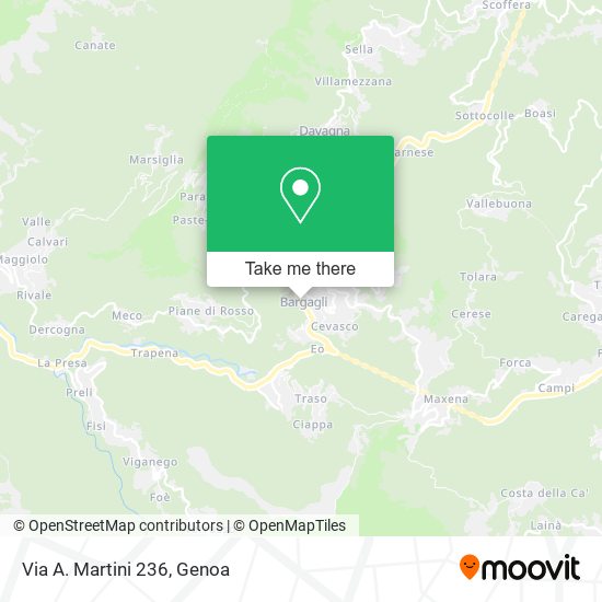 Via A. Martini 236 map