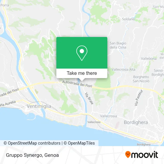 Gruppo Synergo map