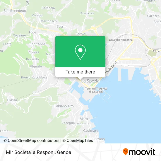 Mir Societa' a Respon. map