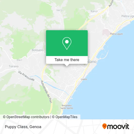 Puppy Class map