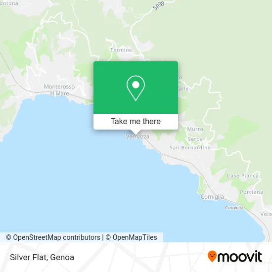 Silver Flat map