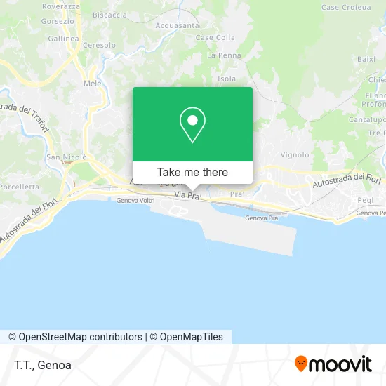 T.T. map