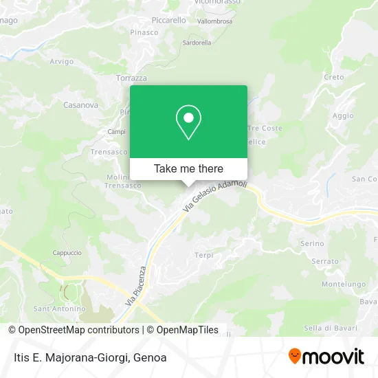 Itis E. Majorana-Giorgi map