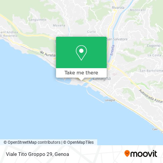 Viale Tito Groppo 29 map