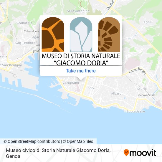 Museo civico di Storia Naturale Giacomo Doria map