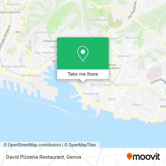 David Pizzeria Restaurant map