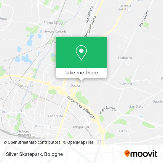 Silver Skatepark map