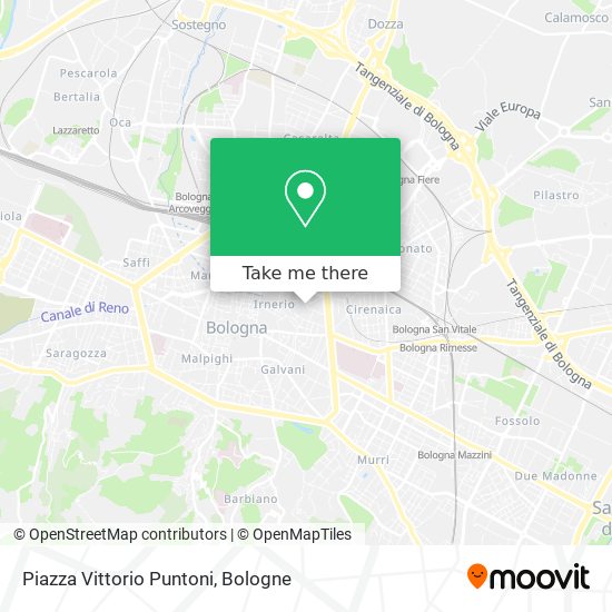 Piazza Vittorio Puntoni map