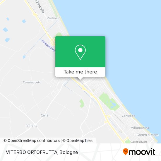 VITERBO ORTOFRUTTA map