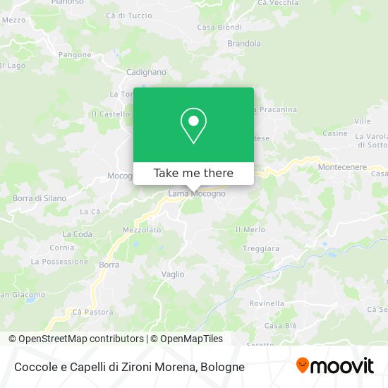 Coccole e Capelli di Zironi Morena map