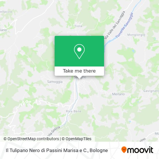 Il Tulipano Nero di Passini Marisa e C. map