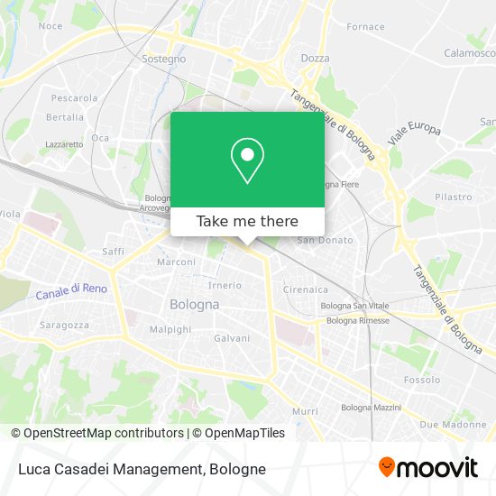 Luca Casadei Management map