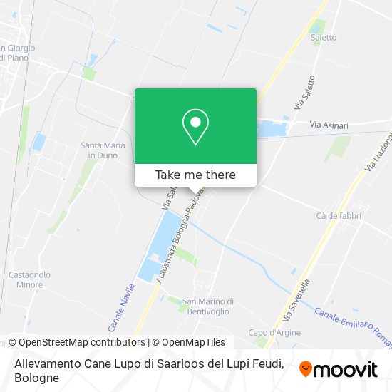 Allevamento Cane Lupo di Saarloos del Lupi Feudi map