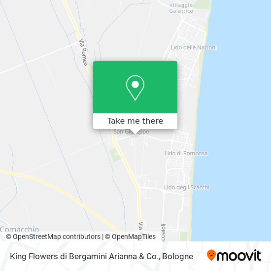 King Flowers di Bergamini Arianna & Co. map