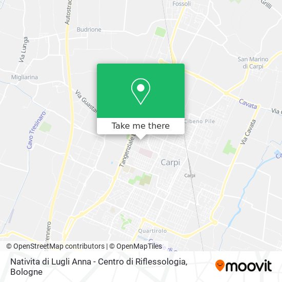 Nativita di Lugli Anna - Centro di Riflessologia map