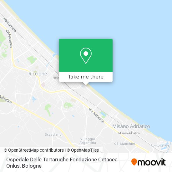 Ospedale Delle Tartarughe Fondazione Cetacea Onlus map