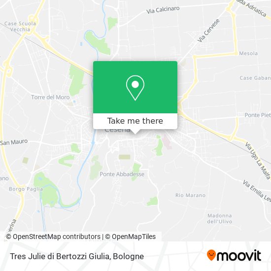 Tres Julie di Bertozzi Giulia map