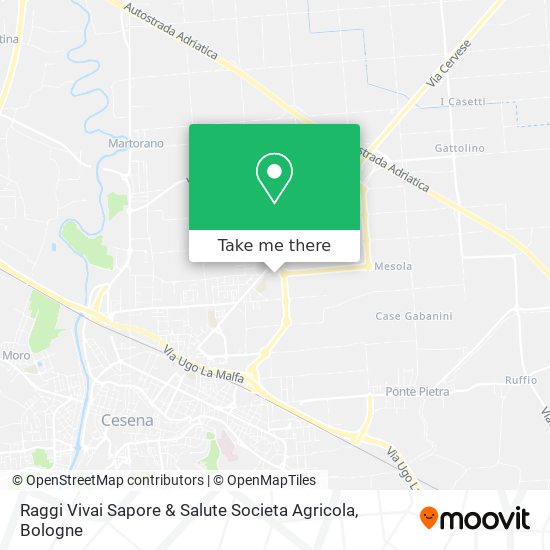 Raggi Vivai Sapore & Salute Societa Agricola map