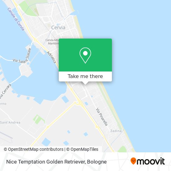 Nice Temptation Golden Retriever map