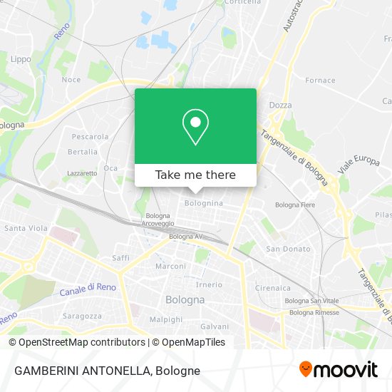GAMBERINI ANTONELLA map