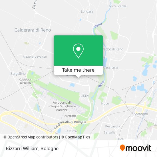 Bizzarri William map
