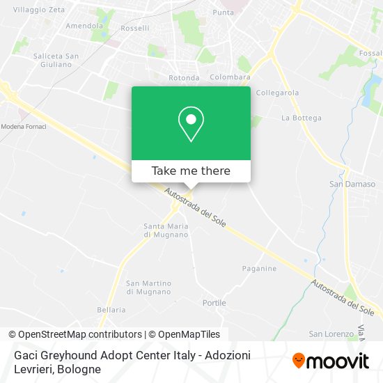 Gaci Greyhound Adopt Center Italy - Adozioni Levrieri map