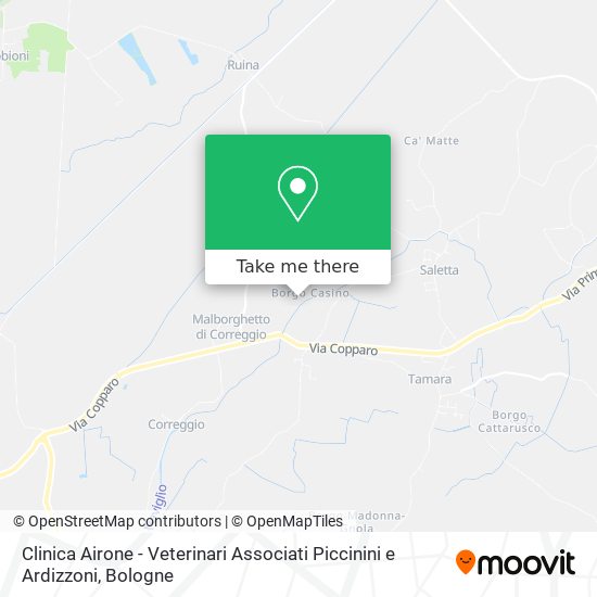 Clinica Airone - Veterinari Associati Piccinini e Ardizzoni map