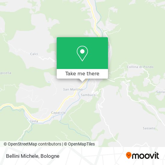 Bellini Michele map