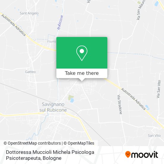Dottoressa Muccioli Michela Psicologa Psicoterapeuta map