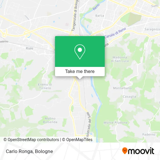Carlo Ronga map