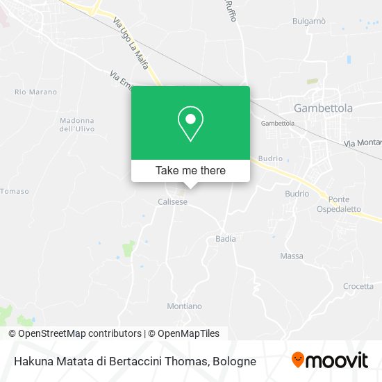 Hakuna Matata di Bertaccini Thomas map